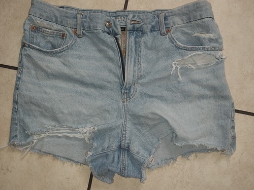 American eagle strigid - american,