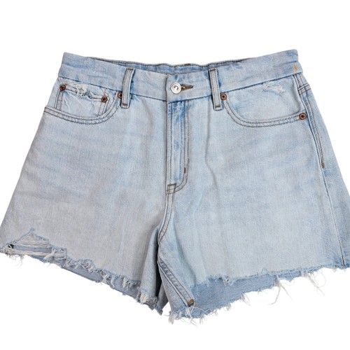 American eagle strigid - eagle, light